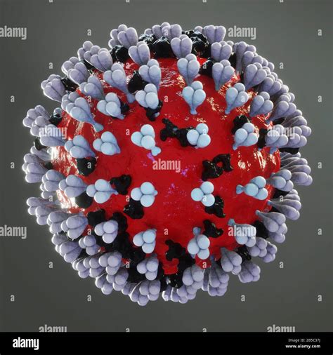 Coronavirus particle, illustration Stock Photo - Alamy