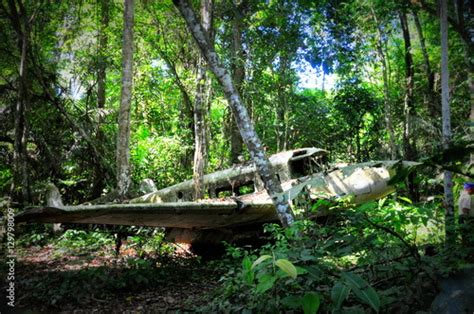 Crashed plane in jungle Amazon rain forest in Suriname Stock Photo | Adobe Stock