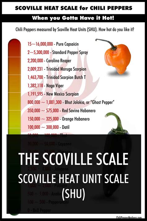 The Scoville Scale - Chili Pepper Madness