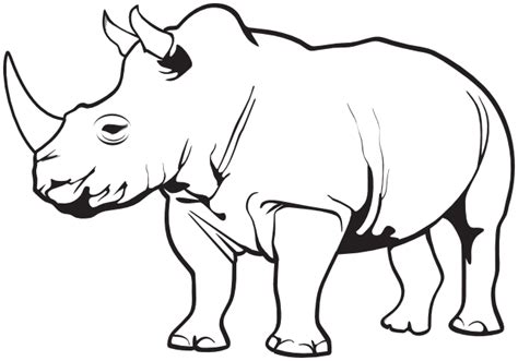 Rhinoceros Horn Clip art - Rhino Animal Cliparts png download - 642*449 - Free Transparent ...