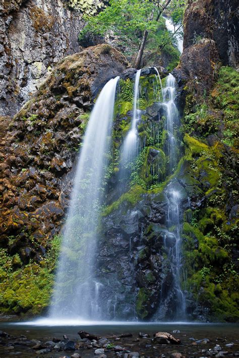 Fall Creek Falls, Oregon, United States - World Waterfall Database