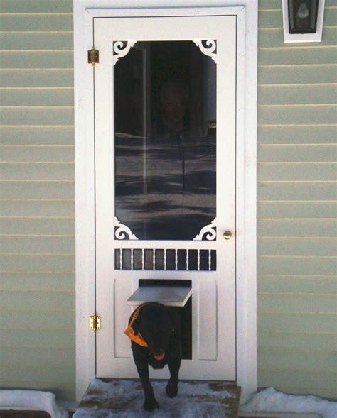 20 things you should to know about Dog screen door - house-ideas.org