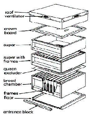 Parts Of A Bee Hive Diagram