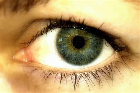 holly's eye | experiment with light ring -- erased the ring ...