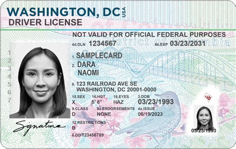 New DC driver license design released | DC News Now