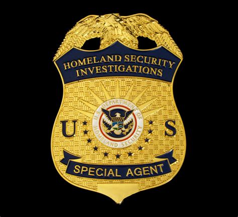 US HSI Homeland Security Investigations Special Agent Badge Solid Copp ...