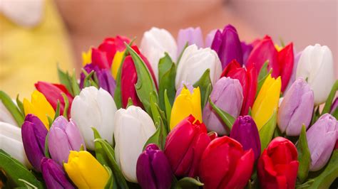 Wallpaper Many tulips, colorful flowers, bouquet 3840x2160 UHD 4K Picture, Image