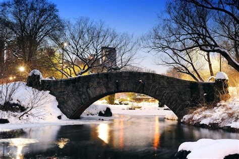 Premium Photo | New york city central park bridge in winter