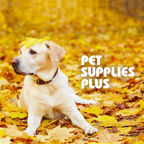 Pet Supplies Plus: We're Thankful for Our Pets!