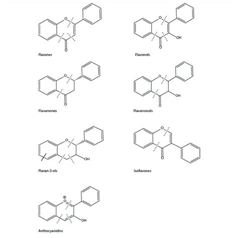 | The basic structure of flavonoids. | Download Scientific Diagram