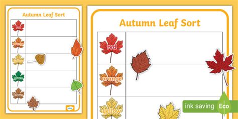 Autumn Leaf Sorting Chart |Twinkl (Teacher-Made) - Twinkl