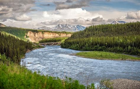 Denali Princess Wilderness Lodge in Denali National Park | Best Rates ...