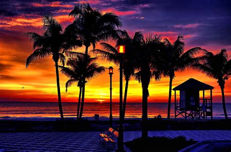 Tropical Sunset Wallpapers - 4k, HD Tropical Sunset Backgrounds on ...