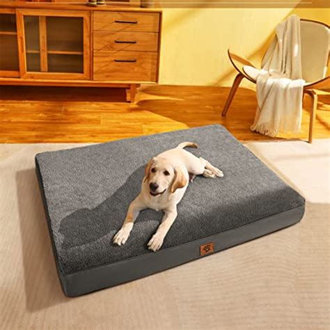 Ultimate Guide to Dog Beds for Arthritis: Top 10 Products Reviewed! - Furry Folly