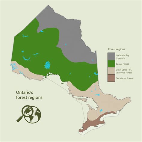 Geographic profiles | Forest resources of Ontario 2021 | ontario.ca