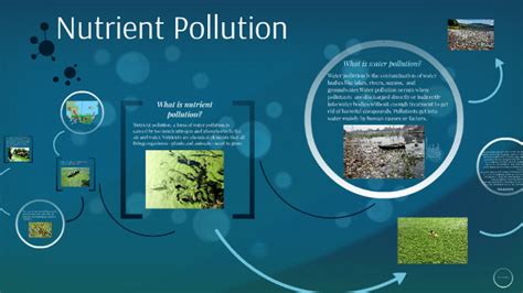 Nutrient pollution by Grell Sutcliff on Prezi Next