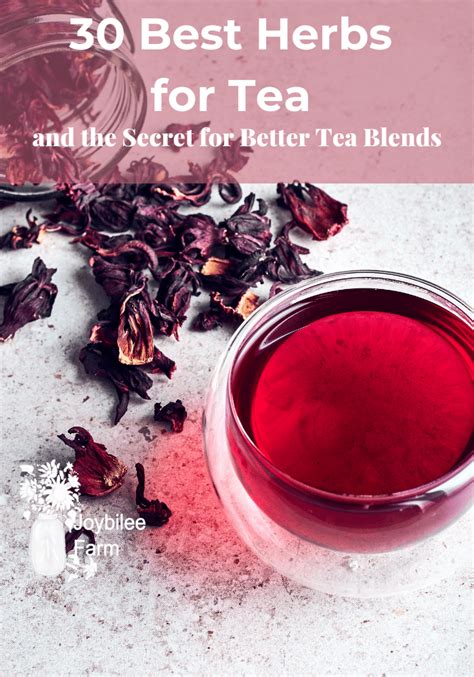 30 Best Herbs for Tea and the Secret for Better Tea Blends