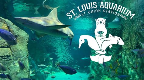 St Louis Aquarium at Union Station Tour & Review with The Legend - YouTube