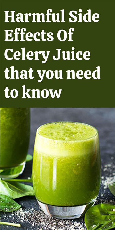 Harmful Side Effects Of Celery Juice that you need to know - Health