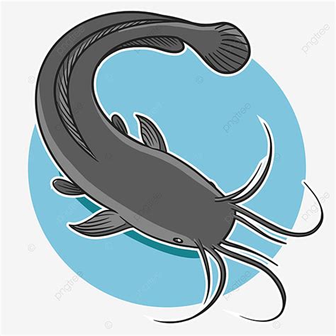 Catfish Clipart Transparent Background, Catfish Vector, Catfish, Fish ...