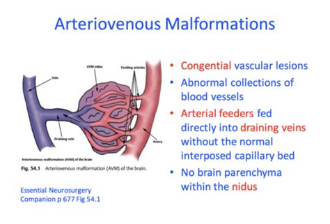 Vascular Malformations (AVMs, Venous Angioma, Cavernous Malformation ...