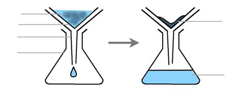 Filtration Diagram | Quizlet