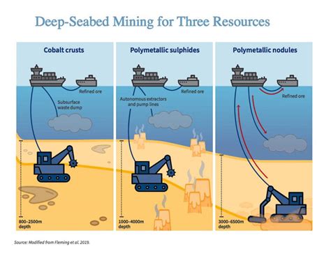 Experts call for plan to protect deep-sea life from mining - MINING.COM