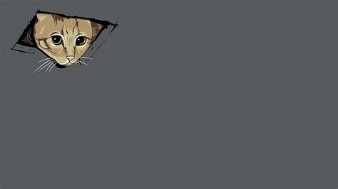 Pc Simple, Minimalist Cat HD wallpaper | Pxfuel