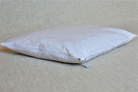 Belan 60x40cm – Flat pillow wool/natural latex - Biodom (en)