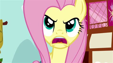 Image - Fluttershy is angry S2E19.png | My Little Pony Friendship is Magic Wiki | Fandom powered ...