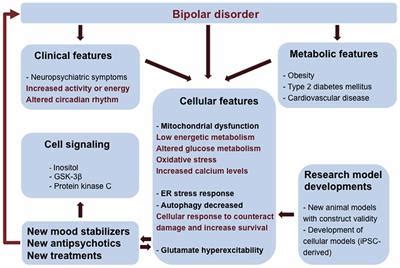 Frontiers | Molecular Mechanisms of Bipolar Disorder: Progress Made and Future Challenges