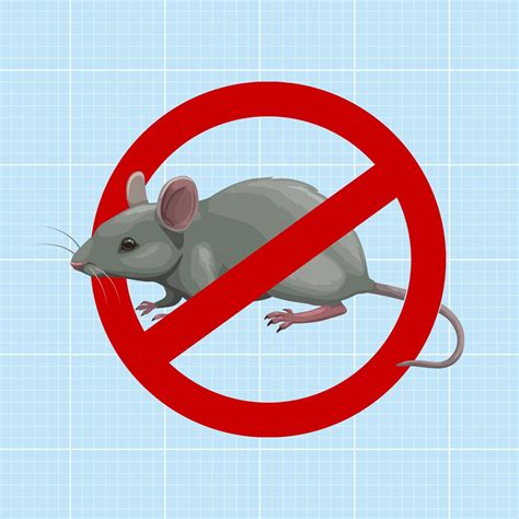 10 Best Mouse Repellents of 2023: Plug-In, Ultrasonic, Spray and More