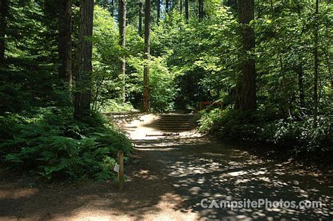 Cove Creek - Camping Photos, Campsite Availability Alerts & Camping Info | Camping photo ...