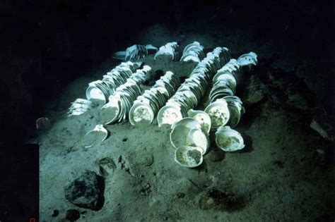 Titanic: Survivors of the doomed liner's sinking and her resting place on the ocean floor ...