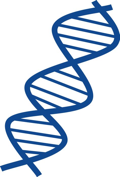 Dna Vector Art - ClipArt Best