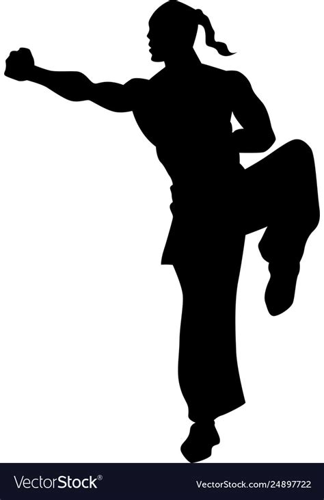 Kung fu fighter silhouette Royalty Free Vector Image