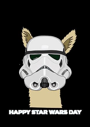 Happy-star-wars-day GIFs - Get the best GIF on GIPHY