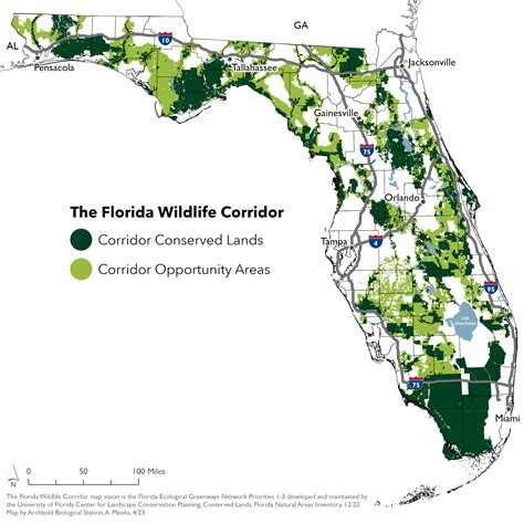 Navigating The Path Of Life: Understanding The Florida Wildlife ...