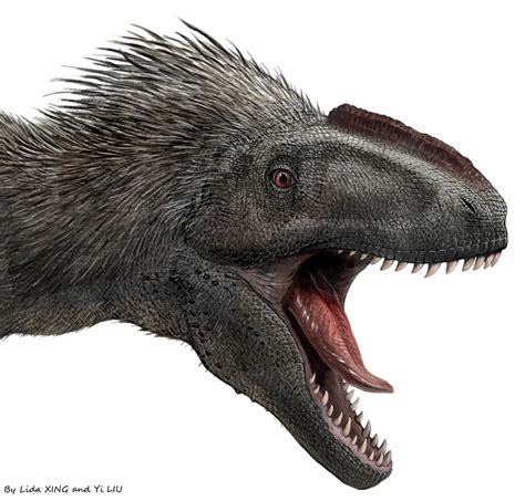 [Paleontology • 2012] Yutyrannus huali 'feathered tyrant' • A gigantic feathered dinosaur from ...