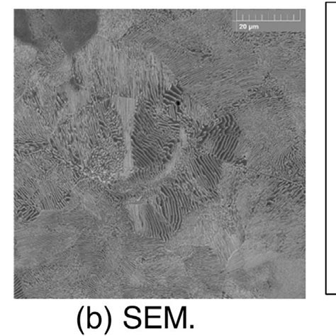 -Micrograph of CS steel. 2% Nital etching. d = 17 ± 11 m; = 0.15 ± 0.02 m. | Download Scientific ...