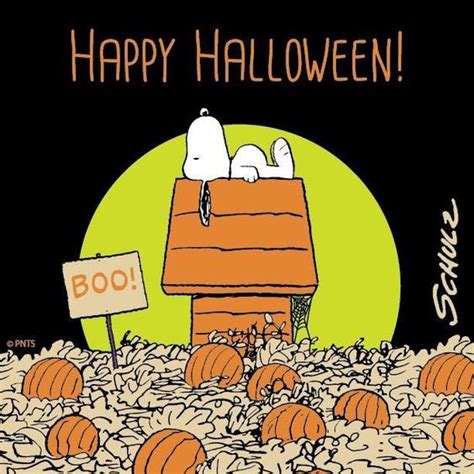 Snoopy Pumpkin Patch Happy Halloween Quote Pictures, Photos, and Images ...