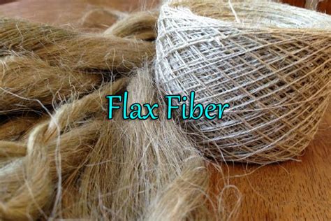 What is Flax Fiber | Properties and Uses of Flax Fiber - Fashion2Apparel