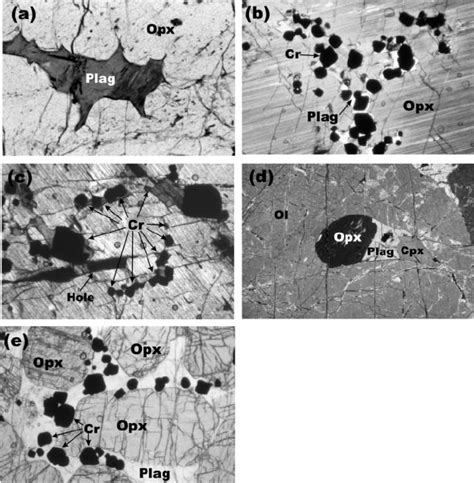 Photomicrographs of various pyroxenitic rocks: (a)–(d) are of the ...