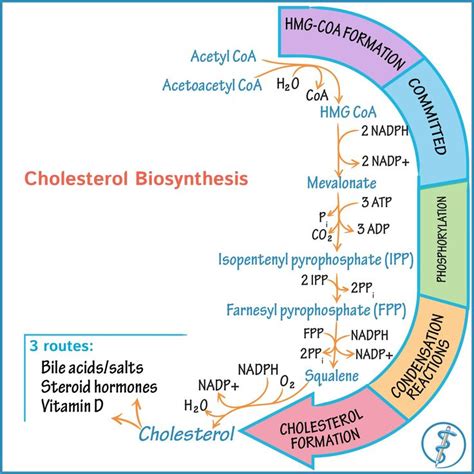 Learn biochemistry with animated, narrated tutorials that walk you through key processes. Clean ...