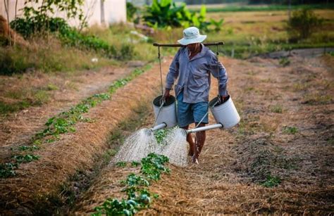 The Challenges of Agriculture sector in Malaysia - Recruitment Agency ...