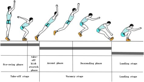 Frontiers | Effects of muscle strength in different parts of adolescent ...