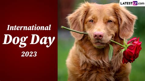 Festivals & Events News | When Is International Dog Day 2023? Know History and Significance of ...