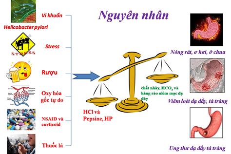 ỨNG DỤNG PHẪU THUẬT ROBOT TRONG ĐIỀU TRỊ UNG THƯ DẠ DÀY - Phòng Khám ...