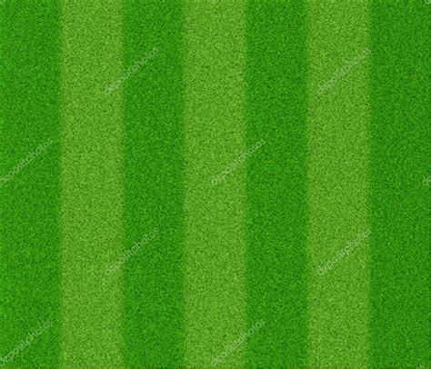 Football grass texture — Stock Photo © artshock #12578508