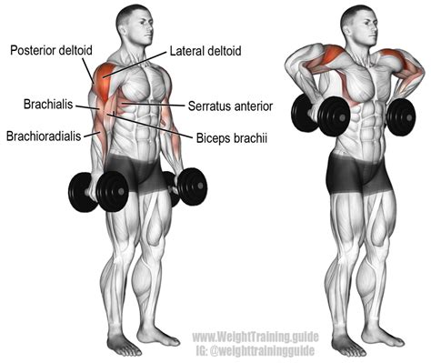 Dumbbell armpit row exercise Gym Workout Tips, Dumbbell Workout ...